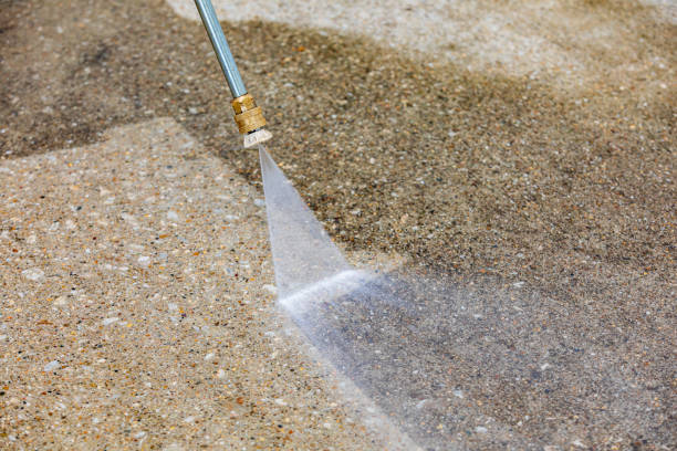 Animal Enclosure Cleaning in Hagaman, NY